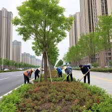 十堰路桥绿化工程公司电话